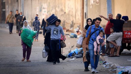 Ex-Israeli official says Palestinians must be driven out of Gaza, move to West