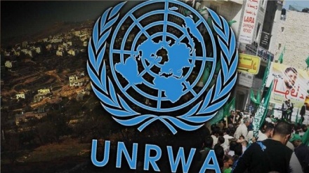 Reazioni alla cessazione degli aiuti dell'Inghilterra all'UNRWA nella Striscia di Gaza