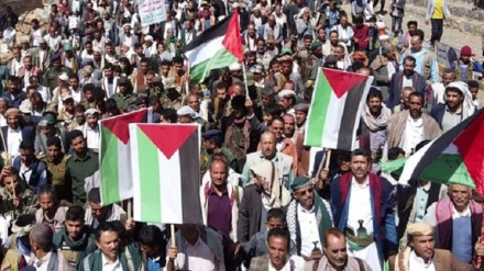 也门人民举行大规模示威活动
