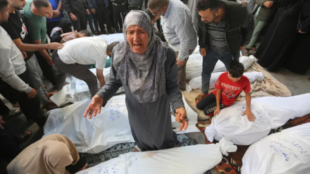 Uashingtoni:  Ne nuk shohim asnjë shenjë gjenocidi në Gaza!