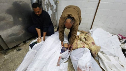 Palestina: Kwa siku 108, Israel imeua watoto 11,000 na wanawake 7,500 Gaza