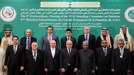  تحولات فلسطین؛ محور دیدارهای قالیباف با مهمانان نشست کشورهای عضو سازمان همکاری اسلامی