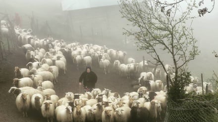 Qiloni əşirəton di təssərrufoti iyən dasti sənaye məhsulon istehsoliku bəromə bə dast vardey