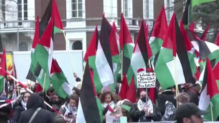 Pro-Palestinian protesters call for Israeli 'accountability' outside World Court 