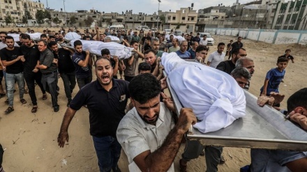 ガザの殉教者が2万3000人超える