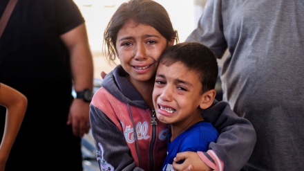 加沙战争导致2.5万儿童为孤儿