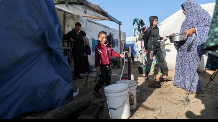 গাজা থেকে ফিলিস্তিনিদের সরিয়ে দেয়ার প্রস্তাব; জঘন্য মস্করা বলছে হামাস