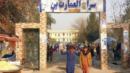 ننګرهار ولایت ته زرګونه کسانو سفرونه کړي دي، نور حال دلته لرو