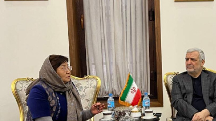 په افغانستان کې د  ایران سفیر د ملګرو ملتونو له استازې سره وکتل