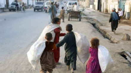 نگرانی از افزایش روزافزون کودکان کار در ولایت هرات
