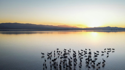 (FOTO DEL GIORNO) Laguna Miqan, provincia Markazi