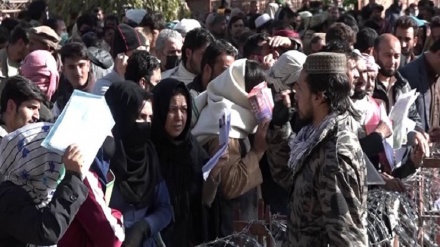 طالبان: روند پذیرش درخواست‌های کاغذی برای پاسپورت متوقف شد