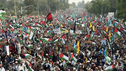 パレスチナ支持デモ、年明け早々に世界中で実施