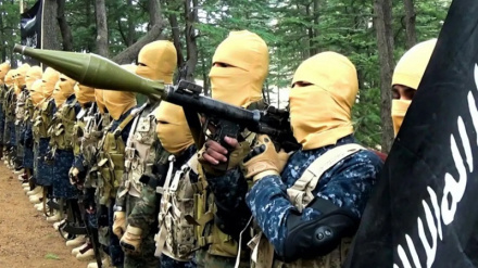 داعش خراسان از کجا آمد؟