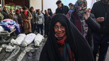 Критика мусульманского представителя Палаты общин Великобритании в адрес премьер-министра 