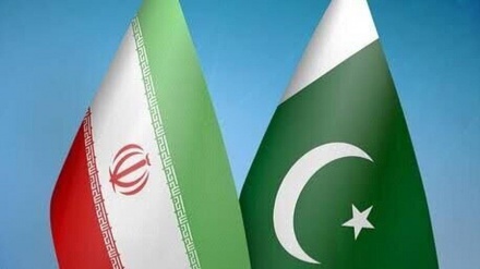 伊朗和巴基斯坦大使返回驻在国岗位 