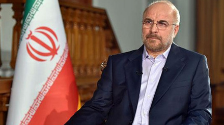 Galibaf: Duşmanlaryň umytsyz hereketleri, eýran halkynyň tutanýerliligine täsir etmez