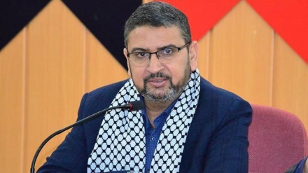 Kritika e anëtarit të lartë të Hamasit për deklaratat e ambasadorit saudit