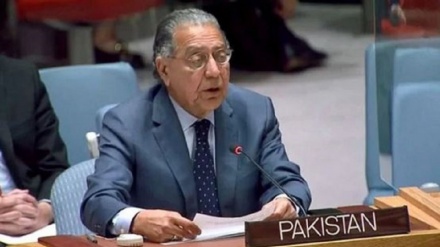 تاکید نماینده پاکستان در سازمان ملل بر توقف حملات ارتش رژیم صهیونیستی به غزه 