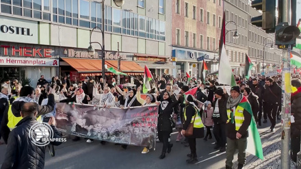 Антисионистские митинги в Германии и Нигере