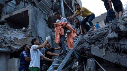 شمار شهدای فلسطینی از مرز 24 هزار نفر عبور کرد