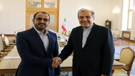 Встреча и консультации старшего советника министра иностранных дел Ирана с главным переговорщиком правительства Йемена