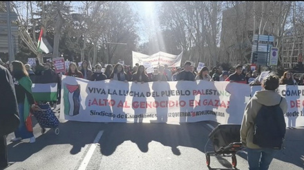 Демонстрация десятков тысяч человек в Испании против израильского режима и в поддержку народа Газы