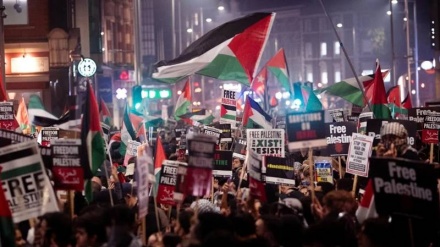 Vala e mbështetjes për Palestinën në Evropë gjatë festimeve të Vitit të Ri