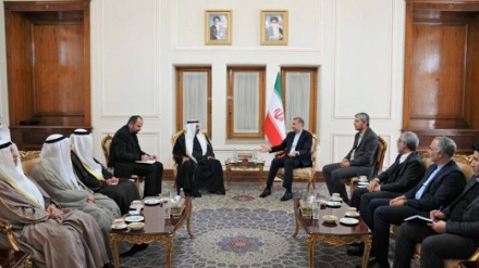 Amir Abdollahian: Sionist regimi Gazadaky maksatlaryna ýetmedi