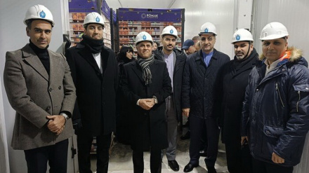 Запуск холодной линии по перевозке грузов в порту Салянка