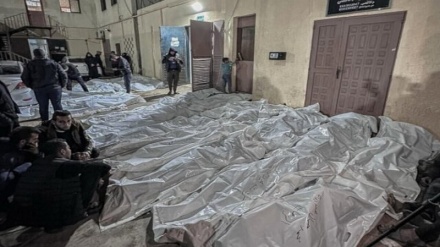 سازمان بهداشت جهانی: حمام خون در غزه باید متوقف شود