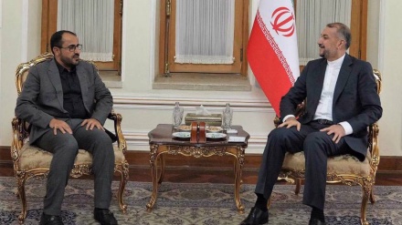 Iran FM hails firm pro-Palestine stance of Yemen's Ansarullah movement