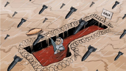 (VIGNETTE) No comment