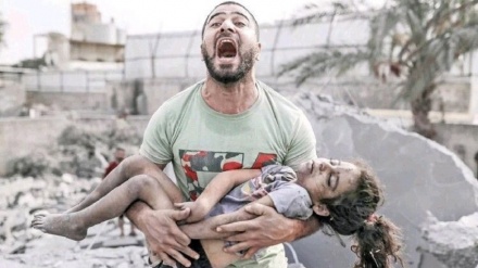 شمار شهدای غزه از ۲۶ هزار نفر گذشت 