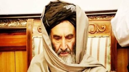 د کندهار والي په خرابواړیکو د خبرو لپاره پاکستان ته سفر کوي