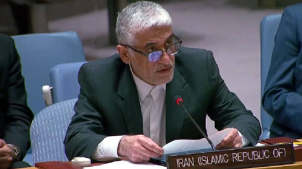 Irwani: Eýran sebitdäki haýsydyr bir şahsyýetiň ýa-da toparyň hereketleri üçin jogapkärçilik çekmeýär