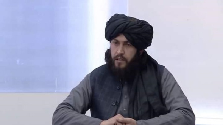 طالبانو له تعلیمي نصاب څخه ځینې کتابونه حذف کړي دي، نور جزئیات دلته لرو