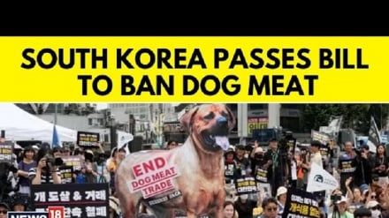 Bunge la Korea Kusini lapitisha sheria inayopiga marufuku ulaji wa nyama ya mbwa