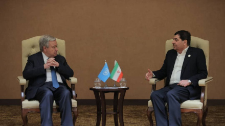 Мохаммад Мохбар: Обращение к общественному голосованию – единственное решение палестинского вопроса