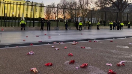 抗议者向白宫扔血腥娃娃