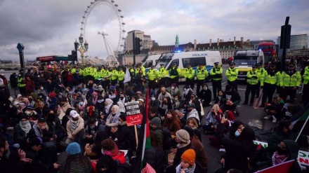 UK police clash with pro-Palestinian protesters during London march