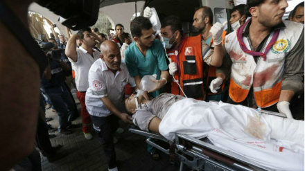 Палестинский дипломат: Геноцид в Газе можно остановить с помощью глобальной дипломатии