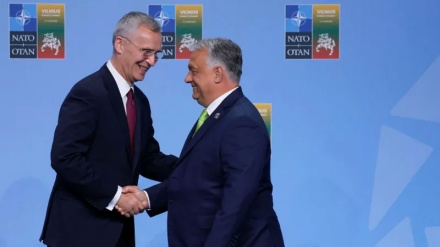 Orban jep dritën jeshile për zgjerimin e NATO-s dhe anëtarësimin e Suedisë