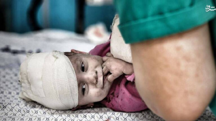 Министр иностранных дел Норвегии: Ситуация в секторе Газа похожа на ад на земле