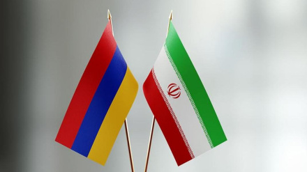 Իրանը կենդանի անասուններ է ներմուծելու Հայաստանից