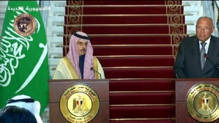 Arabia Saudite dhe Egjipti kërkojnë një armëpushim të menjëhershëm në Gaza