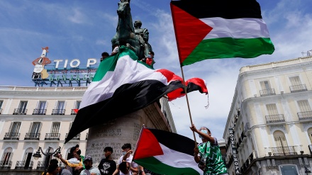 Demonstrata masive e popullit të Spanjës në mbështetje të popullit të Gazës