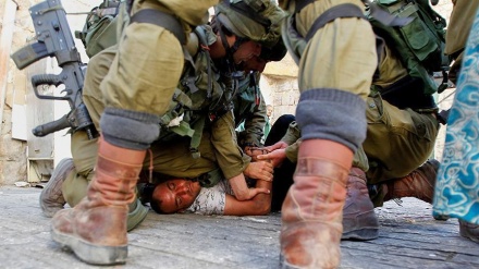 以色列占领土兵给巴勒斯坦妇女和儿童带来的深重苦难的图片