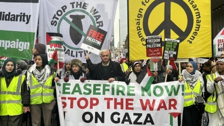 全球各国为支持巴勒斯坦民众举行游行