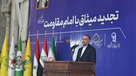イラン外相、「抵抗勢力は地域で独自に行動」